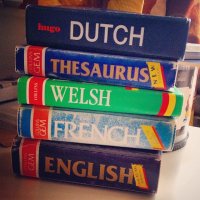 słowniki do języków obcych